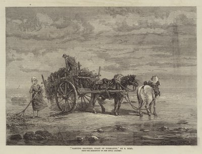 Transport d